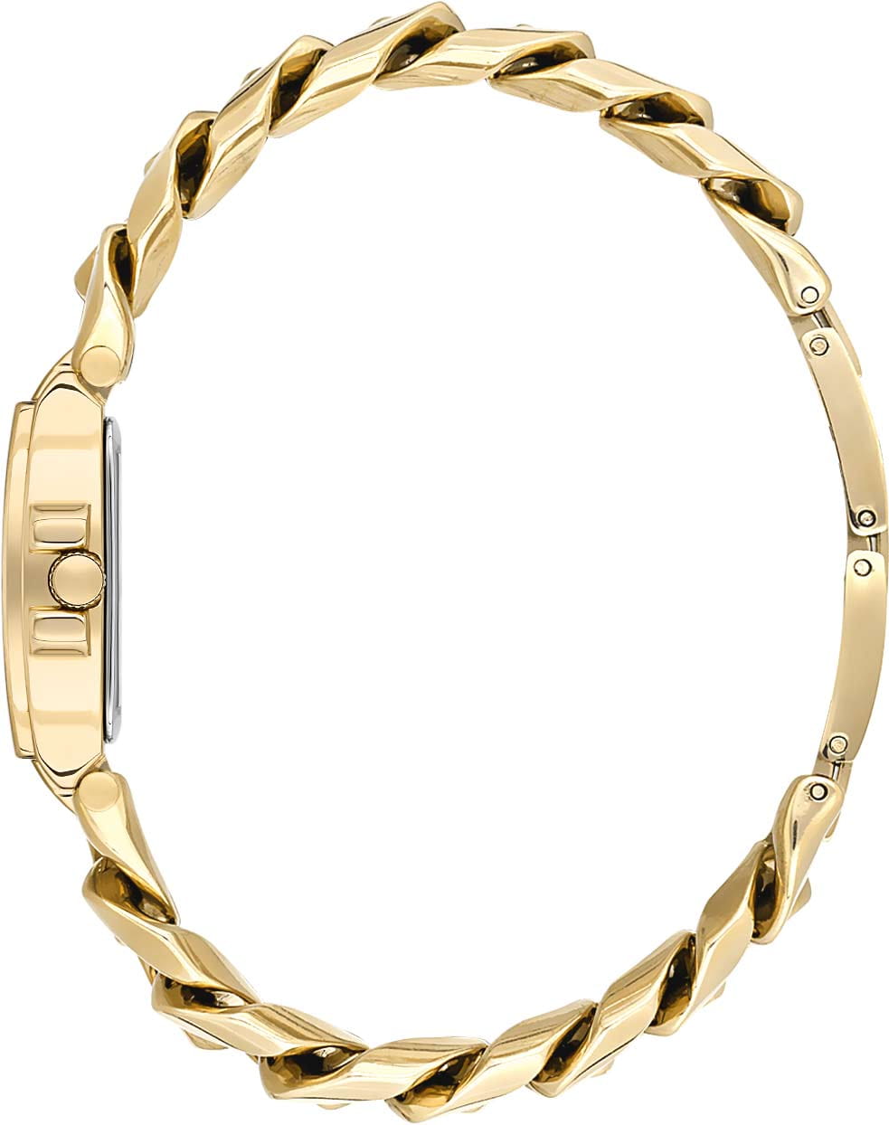 Daniel Klein Daniel Klein Premium DK.1.13717-2 , наручные женские часы фото под углом