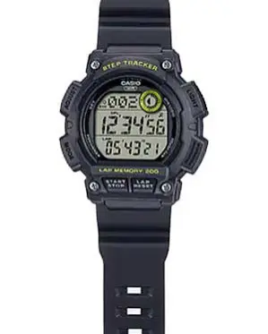 Casio Collection WS-2100H-8A