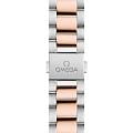 Часы Omega Seamaster Aqua Terra 220.20.34.20.60.001 фото 3