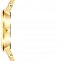 Часы Anne Klein Plastic 4006IVGB фото 2