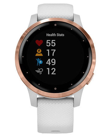 Garmin Vivoactive 4S 010-02172-23