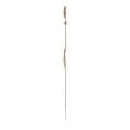 Часы Swatch Skin Classic Biosourced SS08C102 фото 3