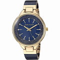 Часы Anne Klein Classic  1408NVNV